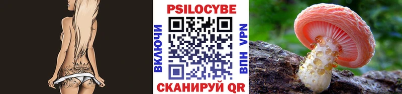 Галлюциногенные грибы Psilocybe  Приволжский 